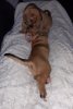 20201101_215309.jpg