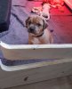 20201101_220345.jpg