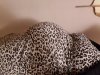 20201101_220947.jpg