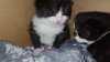 IMG-20201031-WA0015.jpg