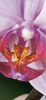 E1B1B658-D38F-4873-8031-8879EBE6E2A3.png