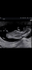 D6B1F45E-B52A-4C03-AE32-1B416B51A7D8.png
