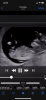 5CB4290E-509D-4D98-B610-7BD988BD74AA.png