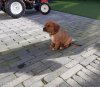 20201103_134618.jpg