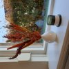 20201104_143602.jpg