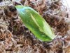 20201106_084929.jpg