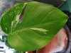 20201106_085023.jpg