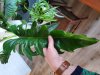 20201106_114244.jpg