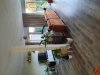 20201106_134304.jpg