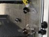 ED0954B9-6225-4BEE-806D-53F81BA85D58.jpeg