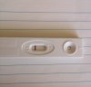 IMG_20201107_103315.jpg