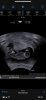 2F260303-66B8-44D1-B2C8-DC6CFC347BF8.jpeg