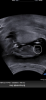 0078EBE6-E22B-47E0-AC2D-AFE78F7F2D51.png