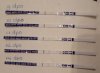 20201109_073920.jpg