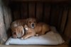 20201111_134728.jpg