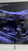 6208D233-4DD9-4CBC-90AC-9232675F2385.png