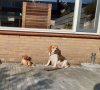 20201112_094149.jpg