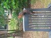 20200611_100946.jpg
