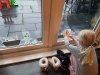 20201114_082112.jpg