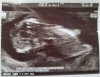 2020-11-16 10.23.34.jpg