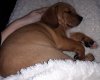 20201116_213339.jpg