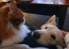 20201110_224718.jpg