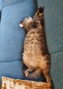 20201119_163213.jpg