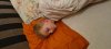 IMG-20201119-WA0005.jpeg