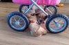 20201120_001203.jpg