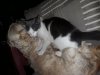 20190630_001558.jpg