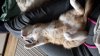 20170824_151050.jpg