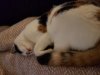 20201028_194618.jpg