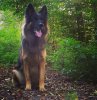 SmartSelect_20201119-085003_Instagram.jpg