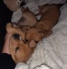 20201120_221454.jpg