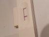 20201121_062551.jpg