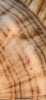 057E1696-9CDD-427E-900C-5D17E4E9609C.png