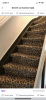 6265E1A8-AD76-4995-9BBB-05938C9AD2D7.png