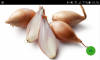 Screenshot_2020-11-24-16-16-15.png