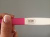 15 dpo.jpg