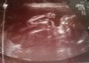 20130408_174255.jpg