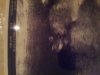 20121112_171914.jpg