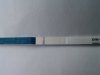 DSC00157.jpg