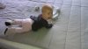 IMAG0360.jpg