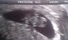 2mqp850.jpg