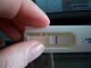 100_3466.jpg