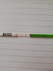 IMG_20201126_131023.jpg