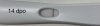 6912676C-03DD-4A07-8617-C24AB37D6835.jpeg