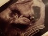 20201127_184303.jpg