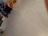 20201128_110611.jpg