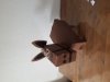 20201128_143039.jpg
